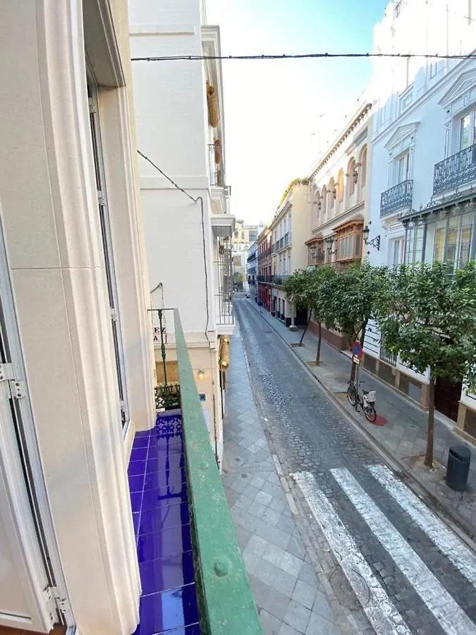 Superb Apartment In Downtown Of Sevilla ,Parking Optional, Top !!