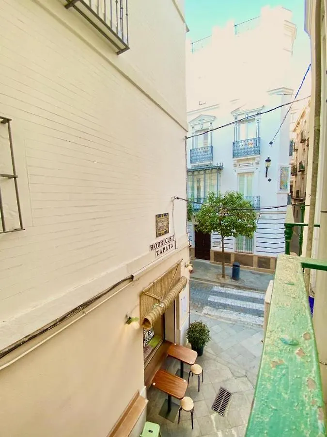 Superb Apartment In Downtown Of Sevilla ,Parking Optional, Top !!
