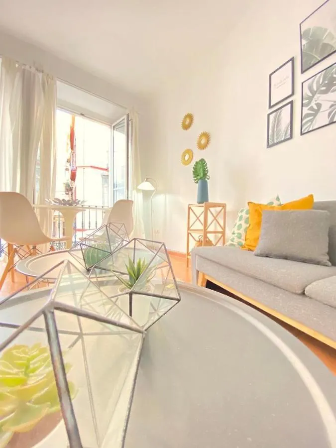 Superb Apartment In Downtown Of Sevilla ,Parking Optional, Top !! 0*, Seville Spain