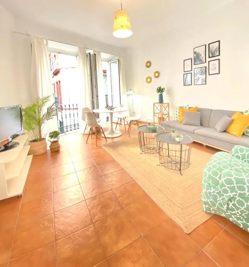 Superb Apartment In Downtown Of Sevilla ,Parking Optional, Top !! Spain