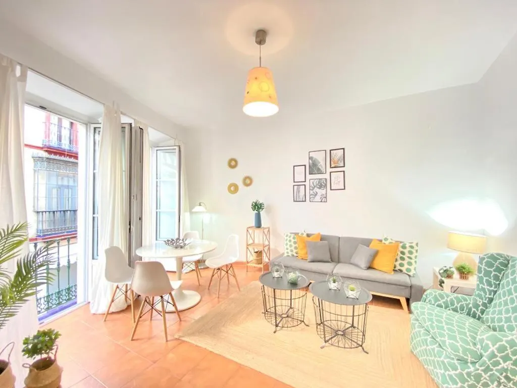Superb Apartment In Downtown Of Sevilla ,Parking Optional, Top !!