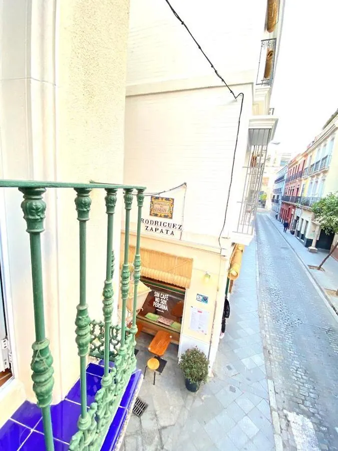 Superb Apartment In Downtown Of Sevilla ,Parking Optional, Top !! 0*, Seville