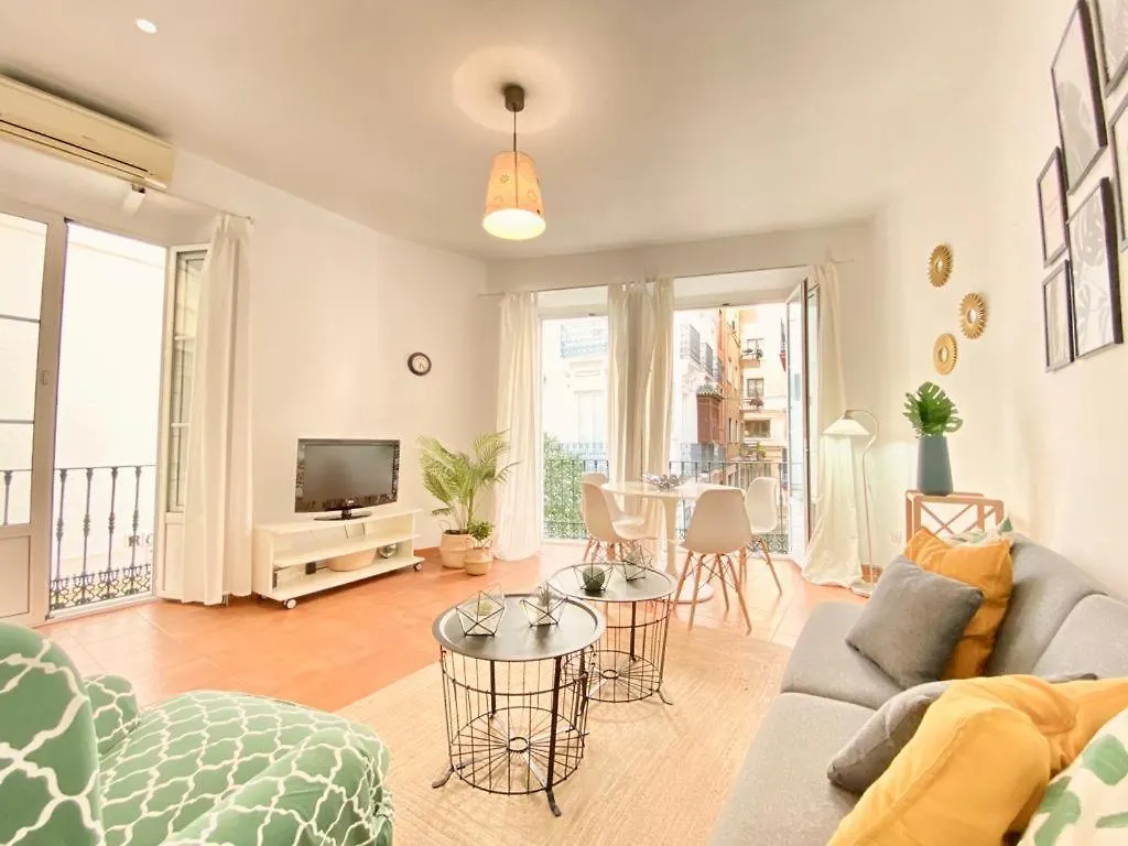 Superb Apartment In Downtown Of Sevilla ,Parking Optional, Top !! Spain