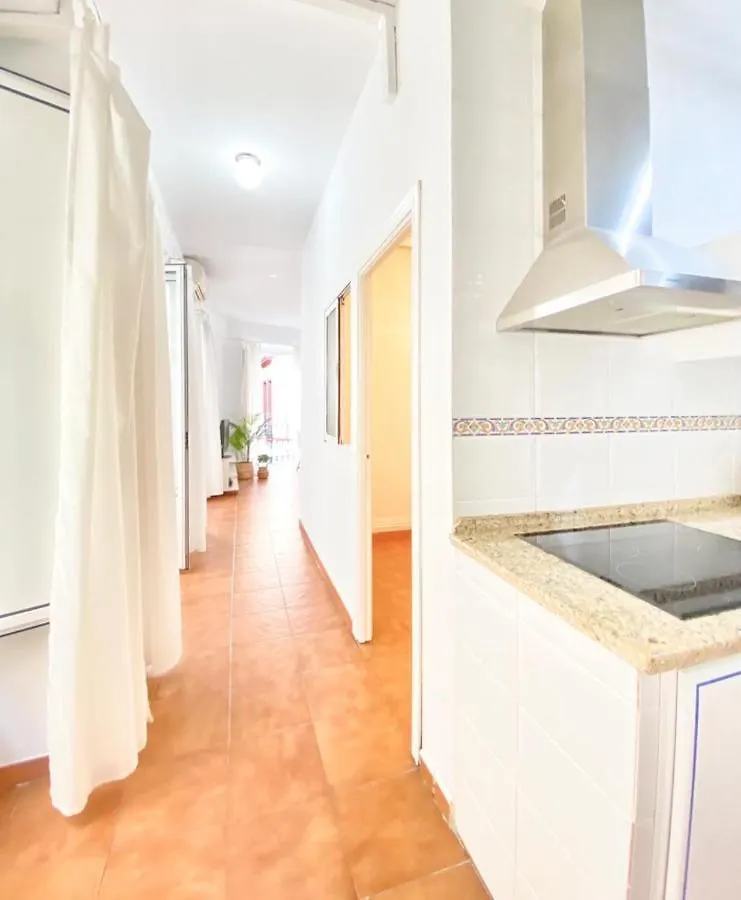 Superb Apartment In Downtown Of Sevilla ,Parking Optional, Top !!