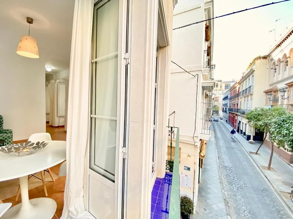 Superb Apartment In Downtown Of Sevilla ,Parking Optional, Top !!