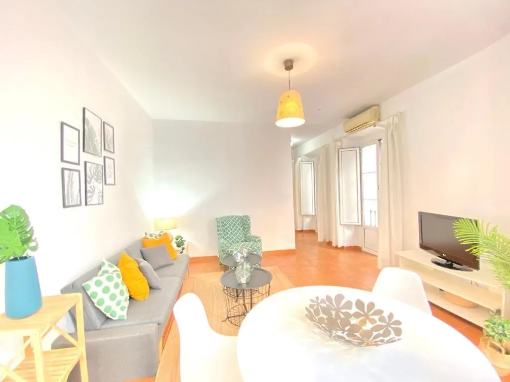 Superb Apartment In Downtown Of Sevilla ,Parking Optional, Top !! Spain